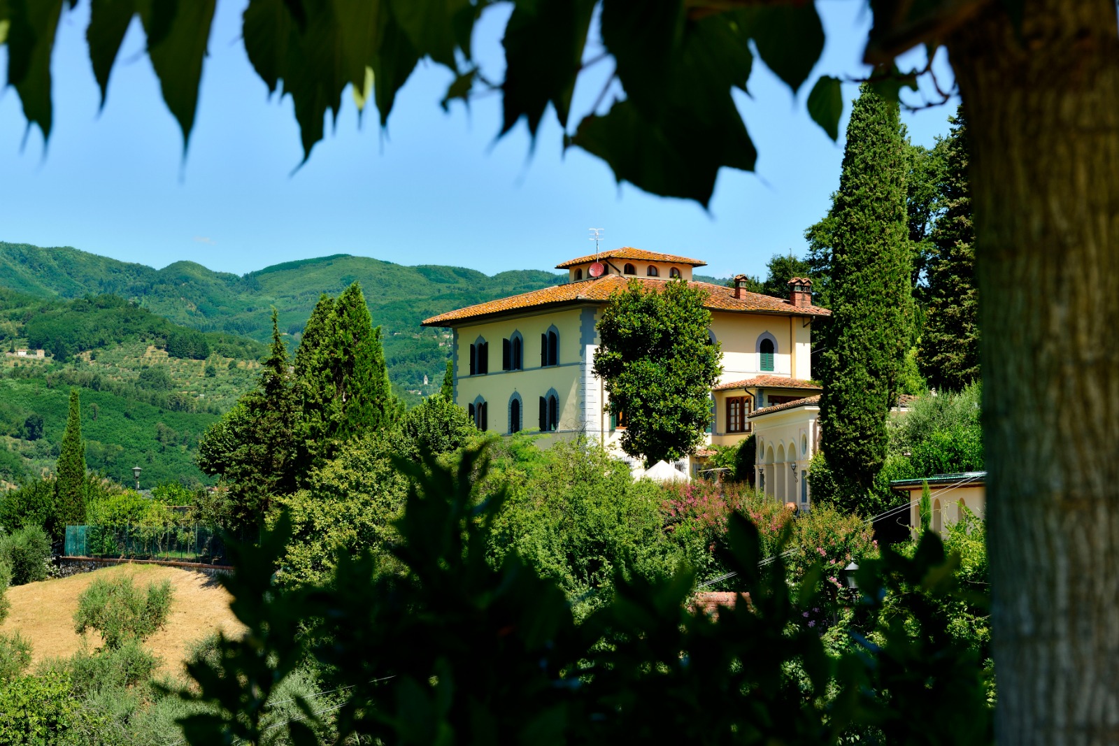 Villa Parri, 7 reasons to choose for an eco-sustainable holiday in Tuscany